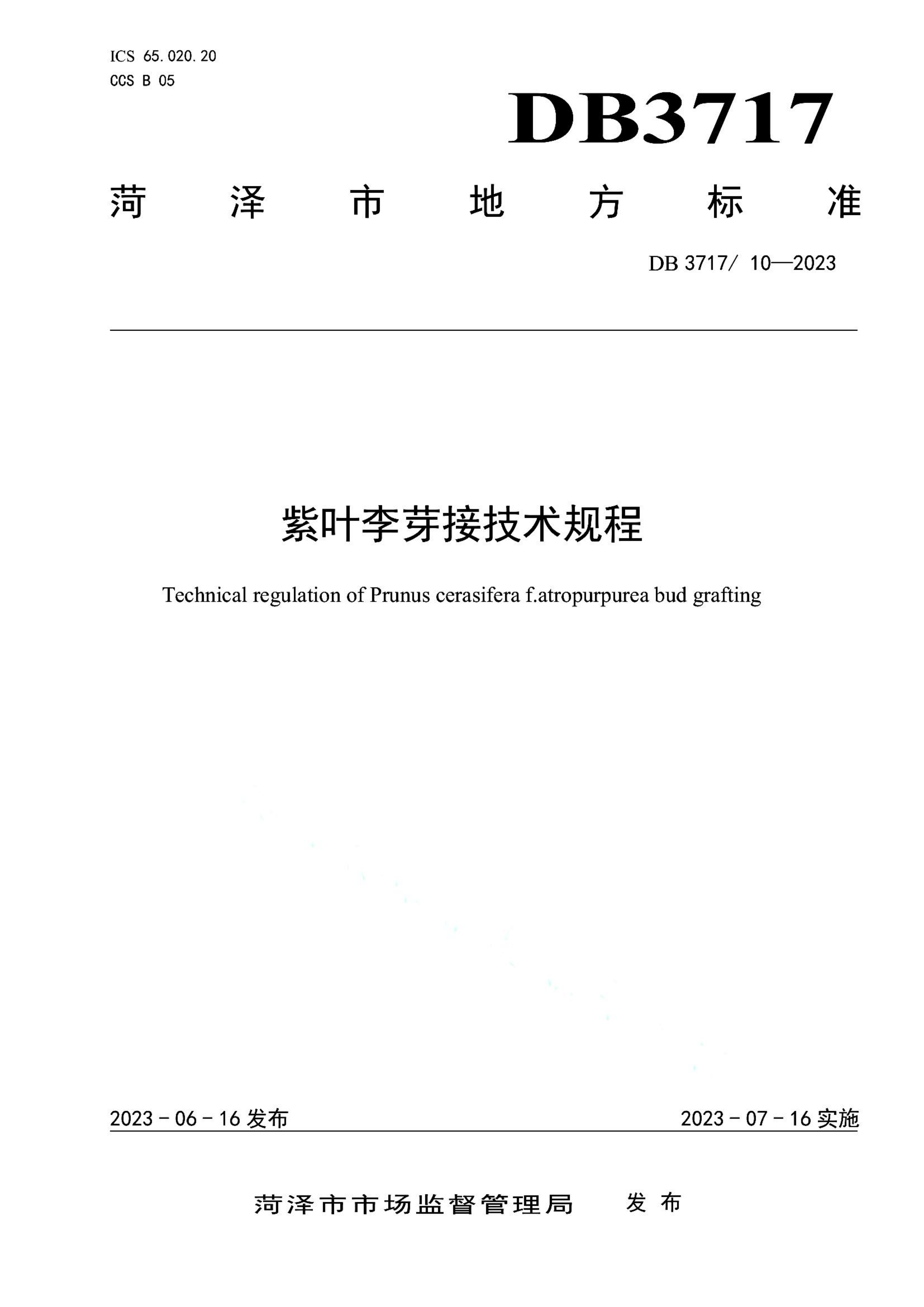 资源详情图